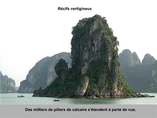 Récifs vertigineux Des milliers de piliers de calcaire s'étendent à perte de vue. 