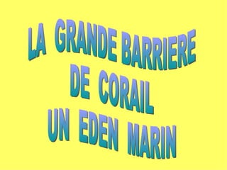 LA  GRANDE BARRIERE DE  CORAIL UN  EDEN  MARIN 