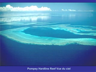 Pompey Hardline Reef Vue du ciel 