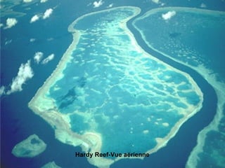 Hardy Reef-Vue aérienne 