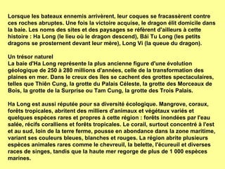 Lorsque les bateaux ennemis arrivèrent, leur coques se fracassèrent contre ces roches abruptes. Une fois la victoire acquise, le dragon élit domicile dans la baie. Les noms des sites et des paysages se réfèrent d'ailleurs à cette histoire : Ha Long (le lieu où le dragon descend), Bái Tu Long (les petits dragons se prosternent devant leur mère), Long Vi (la queue du dragon).  Un trésor naturel  La baie d'Ha Long représente la plus ancienne figure d'une évolution géologique de 250 à 280 millions d'années, celle de la transformation des plaines en mer. Dans le creux des îles se cachent des grottes spectaculaires, telles que Thiên Cung, la grotte du Palais Céleste, la grotte des Morceaux de Bois, la grotte de la Surprise ou Tam Cung, la grotte des Trois Palais. Ha Long est aussi réputée pour sa diversité écologique. Mangrove, coraux, forêts tropicales, abritent des milliers d'animaux et végétaux variés et quelques espèces rares et propres à cette région : forêts inondées par l'eau salée, récifs coralliens et forêts tropicales. Le corail, surtout concentré à l'est et au sud, loin de la terre ferme, pousse en abondance dans la zone maritime, variant ses couleurs bleues, blanches et rouges. La région abrite plusieurs espèces animales rares comme le chevreuil, la belette, l'écureuil et diverses races de singes, tandis que la haute mer regorge de plus de 1 000 espèces marines.   