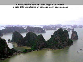 Au nord-est du Vietnam, dans le golfe du Tonkin,  la baie d'Ha Long forme un paysage marin spectaculaire 