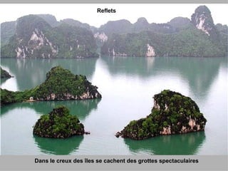 Dans le creux des îles se cachent des grottes spectaculaires Reflets 