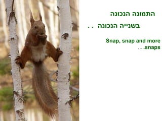 התמונה הנכונה Snap, snap and more snaps. .  .   בשנייה הנכונה  . .   