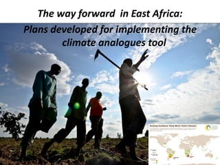 The way forward in East Africa:
Plans developed for implementing the
        climate analogues tool
 