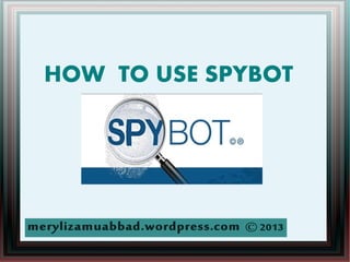 HOW TO USE SPYBOT
 