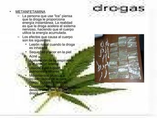 •   METANFETAMINA
     – La persona que use “lce” piensa
       que la droga le proporciona
       energía instantánea. La realidad
       es que la droga acelera el sistema
       nervioso, haciendo que el cuerpo
       utilice la energía acumulada.
     – Los efectos que causa al cuerpo
       son los siguientes:
         • Lesión nasal cuando la droga
             es inhalada
         • Sequedad y picor en la piel
         • Acné
         • Aceleración de la respiración
             y la presión arterial
         • Lesiones del hígado,
             pulmones y riñones
         • Movimientos bruscos e
             incontrolados de la cara,
             cuello, brazos, y manos
         • Depresión aguda cuando
             desaparecen los efectos de la
             droga
 