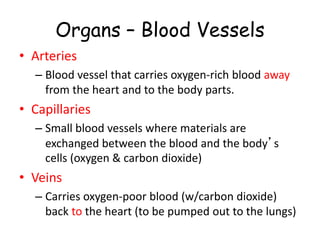 Organs – Blood Vessels
• Arteries
– Blood vessel that carries oxygen-rich blood away
from the heart and to the body parts.
• Capillaries
– Small blood vessels where materials are
exchanged between the blood and the body’s
cells (oxygen & carbon dioxide)
• Veins
– Carries oxygen-poor blood (w/carbon dioxide)
back to the heart (to be pumped out to the lungs)
 