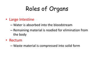 Roles of Organs
• Large Intestine
– Water is absorbed into the bloodstream
– Remaining material is readied for elimination from
the body
• Rectum
– Waste material is compressed into solid form
 