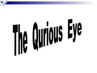 The  Qurious  Eye 