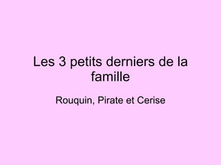 Les 3 petits derniers de la famille Rouquin, Pirate et Cerise 