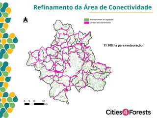 Reﬁnamento da Área de Conectividade
11.100 ha para restauração
 