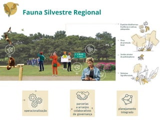 Fauna Silvestre Regional
 