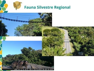Fauna Silvestre Regional
 