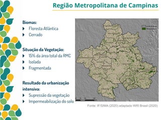 Fonte: IF/SIMA (2020) adaptado WRI Brasil (2020)
Biomas:
◆ Floresta Atlântica
◆ Cerrado
Situação da Vegetação:
◆ 15% da área total da RMC
◆ Isolada
◆ Fragmentada
Resultado da urbanização
intensiva:
◆ Supressão da vegetação
◆ Impermeabilização do solo
Região Metropolitana de Campinas
 