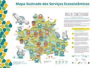Campinas
População Residente 1080.113
Área total de 796,4 Km²
Taxa de urbanização de 98,28%
70 mil domicílios em favelas e loteamentos irregulares
11,5% da área do território possui vegetação nativa
87,67m² de área verde por habitante
09 unidades de conservação
2.300 nascentes mapeadas
70% das APP degradadas
Mapa ilustrado dos Serviços Ecossistêmicos
 