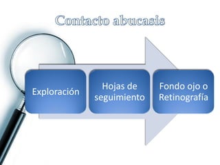 Exploración

Hojas de
seguimiento

Fondo ojo o
Retinografía

 