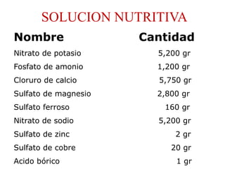 SOLUCION NUTRITIVA
Nombre                Cantidad
Nitrato de potasio      5,200 gr
Fosfato de amonio       1,200 gr
Cloruro de calcio       5,750 gr
Sulfato de magnesio     2,800 gr
Sulfato ferroso          160 gr
Nitrato de sodio        5,200 gr
Sulfato de zinc             2 gr
Sulfato de cobre           20 gr
Acido bórico                1 gr
 