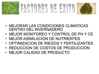 • MEJORAR LAS CONDICIONES CLIMATICAS
  DENTRO DEL INVERNADERO
• MEJOR MONITOREO Y CONTROL DE PH Y CE
• MEJOR ASIMILACION DE NUTRIENTES
• OPTIMIZACION DE RIEGOS Y FERTILIZANTES
• REDUCCION DE COSTOS DE PRODUCCION
• MEJOR CALIDAD DE PRODUCTO
 
