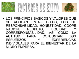 • LOS PRINCIPIOS BASICOS Y VALORES QUE
  SE APLICAN ENTRE ELLOS, LOS DE
  RESPONSABILIDAD, HONESTIDAD, COOPE
  RACION,    RESPETO,     EQUIDAD    Y
  CORRESPONSABILIDAD, ASI COMO LA
  ACTITUD    PARA     CONJUNTAR    LOS
  ESFUERZOS        Y      EXPERIENCIAS
  INDIVIDUALES PARA EL BIENESTAR DE LA
  MICRO EMPRESA.
 