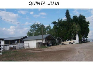 QUINTA JUJA
 