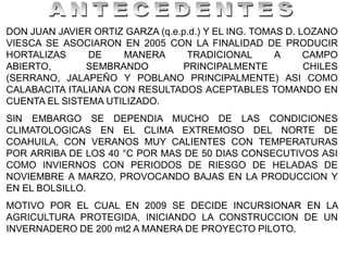 DON JUAN JAVIER ORTIZ GARZA (q.e.p.d.) Y EL ING. TOMAS D. LOZANO
VIESCA SE ASOCIARON EN 2005 CON LA FINALIDAD DE PRODUCIR
HORTALIZAS     DE    MANERA       TRADICIONAL        A     CAMPO
ABIERTO,       SEMBRANDO         PRINCIPALMENTE            CHILES
(SERRANO, JALAPEÑO Y POBLANO PRINCIPALMENTE) ASI COMO
CALABACITA ITALIANA CON RESULTADOS ACEPTABLES TOMANDO EN
CUENTA EL SISTEMA UTILIZADO.
SIN EMBARGO SE DEPENDIA MUCHO DE LAS CONDICIONES
CLIMATOLOGICAS EN EL CLIMA EXTREMOSO DEL NORTE DE
COAHUILA, CON VERANOS MUY CALIENTES CON TEMPERATURAS
POR ARRIBA DE LOS 40 °C POR MAS DE 50 DIAS CONSECUTIVOS ASI
COMO INVIERNOS CON PERIODOS DE RIESGO DE HELADAS DE
NOVIEMBRE A MARZO, PROVOCANDO BAJAS EN LA PRODUCCION Y
EN EL BOLSILLO.
MOTIVO POR EL CUAL EN 2009 SE DECIDE INCURSIONAR EN LA
AGRICULTURA PROTEGIDA, INICIANDO LA CONSTRUCCION DE UN
INVERNADERO DE 200 mt2 A MANERA DE PROYECTO PILOTO.
 