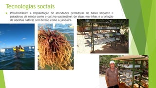 Tecnologias sociais
 Possibilitaram a implantação de atividades produtivas de baixo impacto e
geradoras de renda como o cultivo sustentável de algas marinhas e a criação
de abelhas nativas sem ferrão como a jandaíra.
 