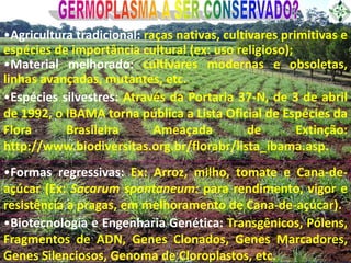 •Agricultura tradicional: raças nativas, cultivares primitivas e
espécies de importância cultural (ex: uso religioso);
•Ma...