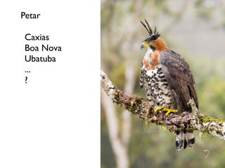 Petar
Caxias
Boa Nova
Ubatuba
...
?
 