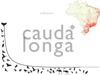 cauda
longa
wikiaves
 