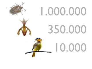 1.000.000
350.000
10.000
 