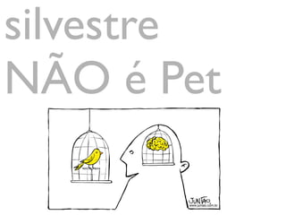 silvestre
NÃO é Pet
Leptodon-forbesi @ciro albano
 