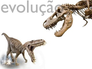 humanos
evolução
 