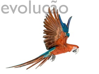 evolução
 