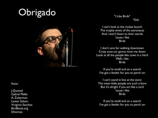 "I Like Birds"
*Eels
I can't look at the rocket launch
The trophy wives of the astronauts
And i won't listen to their words
'cause i like
Birds
I don't care for walking downtown
Crazy auto-car gonna mow me down
Look at all the people like cows in a herd
Well, i like
Birds
If you're small and on a search
I've got a feeder for you to perch on
I can't stand in line at the store
The mean little people are such a bore
But it's alright if you act like a turd
'cause i like
Birds
If you're small and on a search
I've got a feeder for you to perch on
Obrigado
fotos:
J.Quental
Gabrel Mello
A. Zukerman
Lester Sclaon
Virigínio Sanches
BirdBook.org
DIversos
 