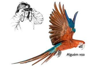 Alguém voa
 