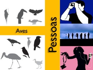 Aves
Pessoas
 