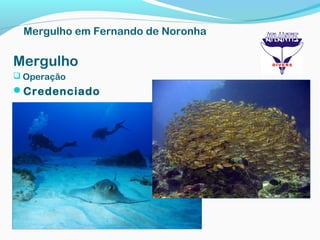 Mergulho
 Operação
Credenciado
Mergulho em Fernando de Noronha
 