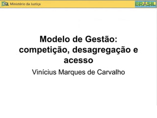 Modelo de Gestão:
competição, desagregação e
         acesso
  Vinícius Marques de Carvalho
 