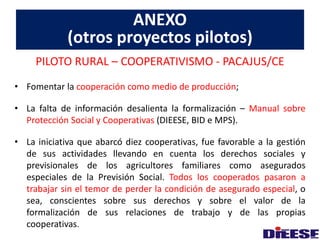 ANEXO 
(otros proyectos pilotos) 
PILOTO RURAL – COOPERATIVISMO - PACAJUS/CE 
• Fomentar la cooperación como medio de producción; 
• La falta de información desalienta la formalización – Manual sobre 
Protección Social y Cooperativas (DIEESE, BID e MPS). 
• La iniciativa que abarcó diez cooperativas, fue favorable a la gestión 
de sus actividades llevando en cuenta los derechos sociales y 
previsionales de los agricultores familiares como asegurados 
especiales de la Previsión Social. Todos los cooperados pasaron a 
trabajar sin el temor de perder la condición de asegurado especial, o 
sea, conscientes sobre sus derechos y sobre el valor de la 
formalización de sus relaciones de trabajo y de las propias 
cooperativas. 
 