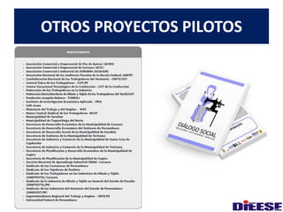 OTROS PROYECTOS PILOTOS 
