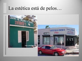 La estética está de pelos…
 