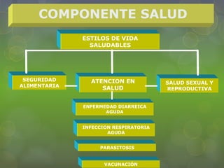 COMPONENTE SALUD
SEGURIDAD
ALIMENTARIA
ESTILOS DE VIDA
SALUDABLES
ATENCION EN
SALUD
ENFERMEDAD DIARREICA
AGUDA
SALUD SEXUAL Y
REPRODUCTIVA
INFECCION RESPIRATORIA
AGUDA
PARASITOSIS
VACUNACIÓN
 