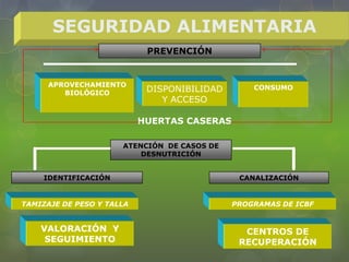 SEGURIDAD ALIMENTARIA
IDENTIFICACIÓN
APROVECHAMIENTO
BIOLÓGICO
PREVENCIÓN
TAMIZAJE DE PESO Y TALLA
VALORACIÓN Y
SEGUIMIENTO
DISPONIBILIDAD
Y ACCESO
CONSUMO
CANALIZACIÓN
PROGRAMAS DE ICBF
CENTROS DE
RECUPERACIÓN
ATENCIÓN DE CASOS DE
DESNUTRICIÓN
HUERTAS CASERAS
 