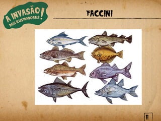 FACCINI




          11
 