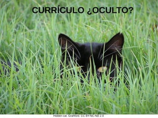 Hidden cat. Grahford. CC BY-NC-ND 2.0
CURRÍCULO ¿OCULTO?
 
