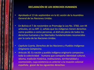 DECLARACIÓN DE LOS DERECHOS HUMANOS
• Aprobada el 13 de septiembre en la 61 sesión de la Asamblea
General de las Naciones Unidas.
• En Bolivia el 7 de noviembre se Promulga la Ley No. 3760, con 44
artículos, en su ART. 2, señala que los indígenas tienen derechos
como pueblos o como personas, al disfrute pleno de todos los
derechos humanos y las libertades fundamentales reconocidos
por la carta de las Naciones Unidas.
• Capítulo Cuarto, Derechos de las Naciones y Pueblos Indígenas
Originario Campesino.
• Articulo 30. Es nación y pueblo indígena originario campesino
toda la colectividad humana que comparta identidad cultural,
idioma, tradición histórica, instituciones, territorialidad y
cosmovisión, cuya existencia es anterior a la invasión colonial
española; gozan de los siguientes derechos:
 