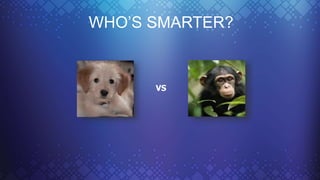 WHO’S SMARTER?
VS
 