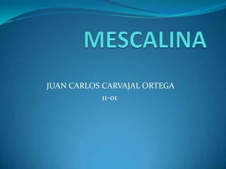 JUAN CARLOS CARVAJAL ORTEGA
            11-01
 