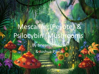 Mescaline (Peyote) &
Psilocybin (Mushrooms)
By Brieanne Ritchie
& Joshua Pierce
 